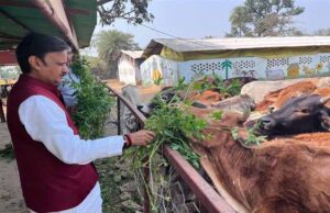 उप मुख्यमंत्री शुक्ल ने लक्ष्मणबाग गौशाला का किया भ्रमण