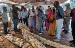 बीजापुरी नंबर-1 में काष्ठ शिल्पियों के कार्यों का शहडोल संभाग की कमिश्नर ने लिया जायजा