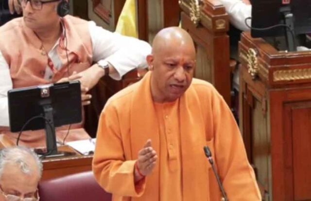 yogi-4.jpg