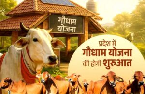 मुख्यमंत्री विष्णु देव साय 14 मार्च को बिलासपुर से करेंगे “गौधाम योजना” का शुभारंभ