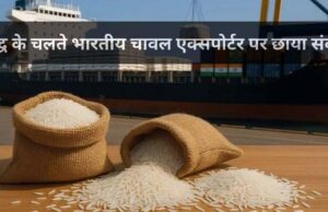 MP से बासमती का निर्यात ठप, समुद्र में फंसा चावल, किसानों और व्यापारियों की बढ़ी चिंता