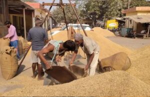 धान खरीद में छत्तीसगढ़ का ‘डेटा-संचालित मॉडल’, एआई तकनीक से बनी मिसाल