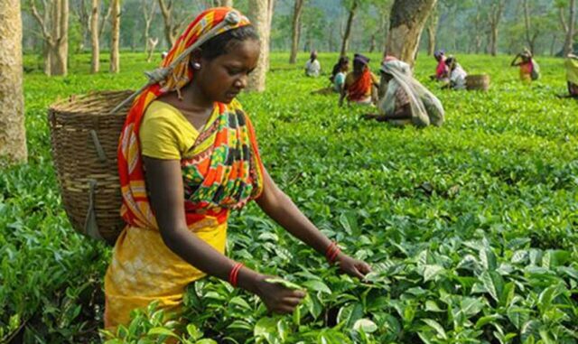 Bihar_News_01-1-8.jpg