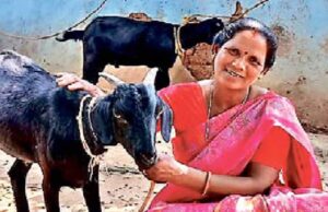 मंईयां सम्मान योजना से 67,752 महिलाएं बनीं आत्मनिर्भर, झारखंड में हर महीने मिल रहे ₹2500