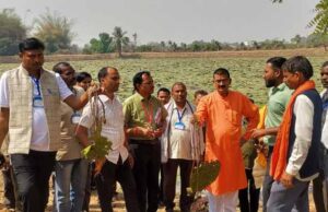 मध्यप्रदेश के किसानों का ग्राम लिंगाडीह आरंग में मखाना खेती भ्रमण एवं प्रशिक्षण संपन्न