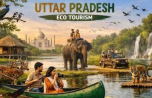 यूपी को इको टूरिज्म हब बनाने की दिशा में उल्लेखनीय पहल, फिरोजाबाद और गाजीपुर में इको टूरिज्म गतिविधियों का होगा विकास