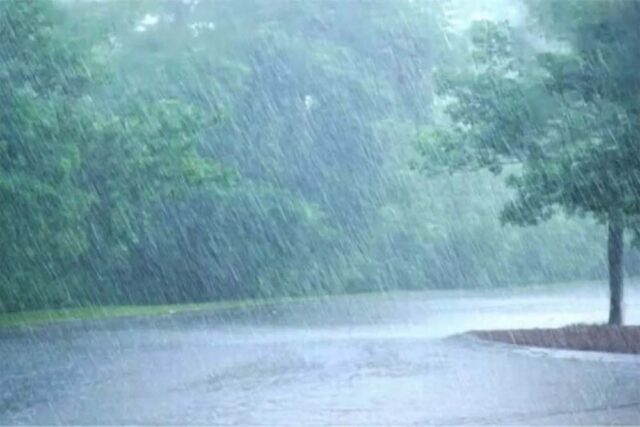 barish1-1.jpg