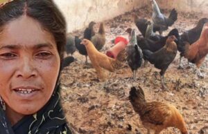 गौठान से बदली तस्वीर: धोवाताल बना आत्मनिर्भर मॉडल गांव, पलायन पर लगी रोक