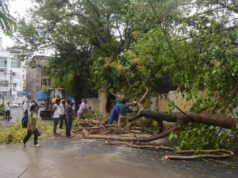 लखनऊ समेत कई जिलों में आंधी-बारिश का कहर: 18 की मौत, बिजली व्यवस्था ठप