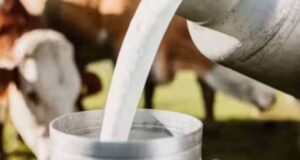 यूपी में पशुपालन को बढ़ाव,28 दिन में होगी गर्भ जांच, किसानों को मिलेगा बड़ा फायदा