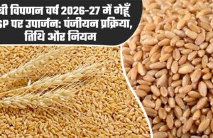 मध्यम एवं बड़े कृषकों को गेहूं विक्रय करने के लिये स्लॉट बुकिंग की सुविधा प्रारंभ