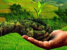 प्राकृतिक खेती से बेहतर आय अर्जित कर रहे 2.60 लाख किसान