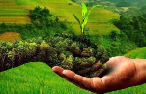 प्राकृतिक खेती से बेहतर आय अर्जित कर रहे 2.60 लाख किसान
