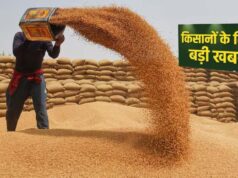 प्रदेश में किसानों के लिए खुशखबरी, गेहूं उपार्जन की तारीख बढ़ी, जानें नया अपडेट