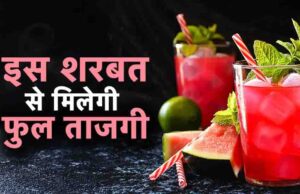 गर्मी में नींबू पानी से ज्यादा हाइड्रेटिंग है तरबूज का शरबत, विटामिन और इलेक्ट्रोलाइट्स से भरपूर यह ड्रिंक तुरंत देगा एनर्जी
