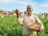 साहिबगंज: दलहन आत्मनिर्भरता मिशन से किसानों को मिलेगा बड़ा लाभ