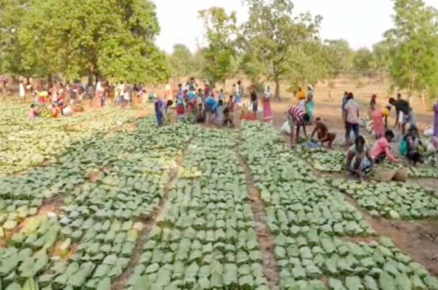 Chhattisgarh_News_02-1-21.jpg