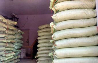 Bastar में खाद-बीज घोटाले की बड़ी जांच: करोड़ों के खेल में जनपद पंचायत अफसरों की भूमिका संदिग्ध