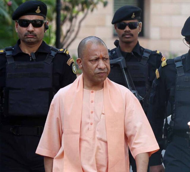 Cm_Yogi_01.jpg