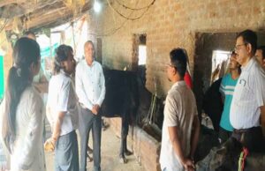 पशुओं में नस्ल सुधार का कार्य बेहतर ढंग से करें : प्रमुख सचिव उमराव