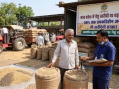 मध्य प्रदेश में गेहूं खरीदी पर बड़ा फैसला: 50% तक चमकविहीन अनाज भी खरीदेगी सरकार