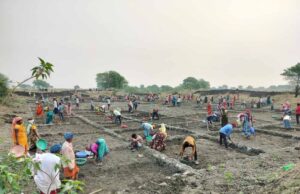 सर्वाधिक परिवारो को रोजगार, सर्वाधिक मानव दिवस का रोजगार सहित सर्वाधिक दिव्यांगजनों को रोजगार देने के मामले में कबीरधाम प्रदेश में प्रथम स्थान पर