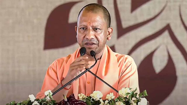 yogi1-4.jpg