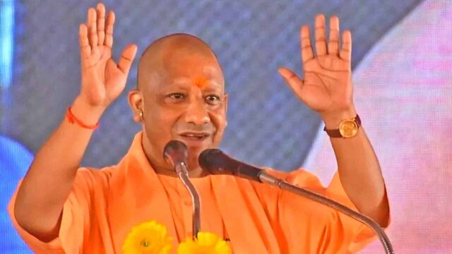 yogi_new_image.jpg