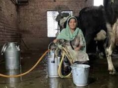पिपरवार में 300 किसानों और महिला पशुपालकों ने बनाई नई प्रोड्यूसर कंपनी