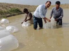 दरभंगा में मत्स्य उत्पादन को नई उड़ान, किसानों को मिला उन्नत जयंती रोहू और अमृत कतला स्पान