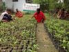 छत्तीसगढ़ की जड़ी-बूटियों से महकेगा नारी शक्ति का स्वावलंबन