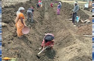 जल गंगा संवर्धन अभियान-पुष्पराजगढ़ में ‘जल गंगा संवर्धन अभियान’ से हो रहा है नहर सुदृढ़ीकरण