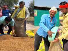 धमतरी का गौरव: विश्व की सबसे बड़ी अनाज भंडारण योजना में बनाया कीर्तिमान, प्रदेश के कुल चने का 50% अकेले खरीदा