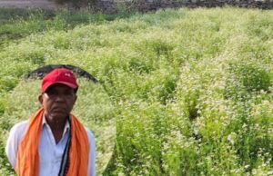महासमुंद के किसान रतिराम की बदली किस्मत, धनिया की खेती से बढ़ी आमदनी