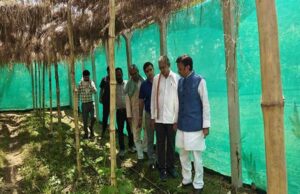 उप मुख्यमंत्री ने किया प्राकृतिक खेती का निरीक्षण