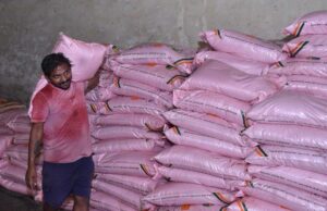 खरीफ में धान सहित दलहन-तिलहन फसलों में परम्परागत खाद के साथ वैकल्पिक खाद एवं नैनो यूरिया व डीएपी के उपयोग को दिया जा रहा बढ़ावा