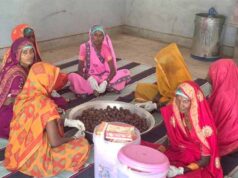 कल्दा वन-धन विकास केंद्र बना जनजातीय महिला उद्यमिता का प्रतीक