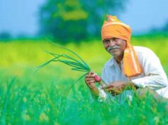 बदलती खेती में नैनो यूरिया और नैनो डीएपी बन रहे किसानों की नई पसंद