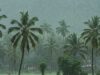केरल में मॉनसून की रफ्तार धीमी, मौसम विभाग ने बताई देरी की वजह
