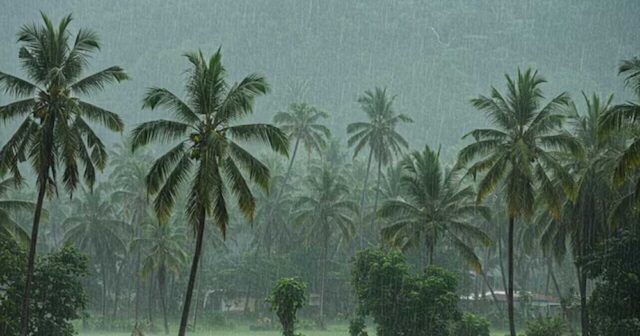 Mansoon.jpg
