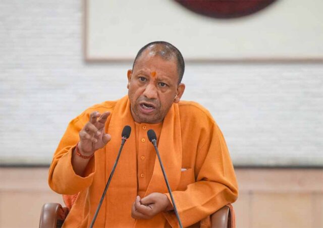 Yogi-9.jpg