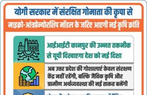 योगी सरकार में संरक्षित गोमाता की कृपा से माइक्रो आंत्रप्रेन्योरशिप मॉडल के जरिए आएगी नई कृषि क्रांति