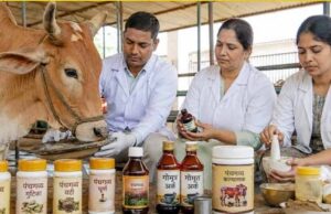 गो संरक्षण विशेष : यूपी की पंचगव्य थेरेपी देगी भारतीय चिकित्सा पद्धति को नई दिशा