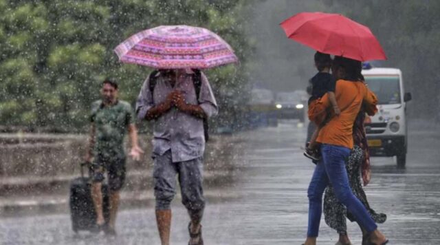 rain_81_3-1.jpg
