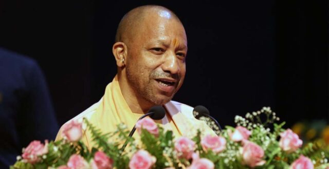 yogi_0_2_3-4.jpg