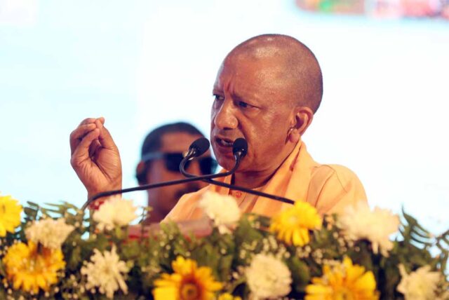 yogi_5765797-2.jpg