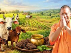 गौ संरक्षण बना यूपी की नई ताकत, योगी सरकार ने ग्रामीण अर्थव्यवस्था को दी जबरदस्त रफ्तार