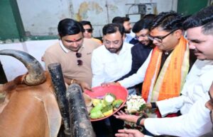 जन्मदिवस के अवसर पर वित्त मंत्री ओपी चौधरी ने की गौ-सेवा, संरक्षण के प्रयासों को सराहा