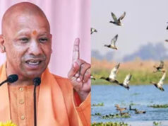 योगी सरकार के प्रयासों से उत्तर प्रदेश में तेजी से हो रहा आर्द्रभूमियों का संरक्षण