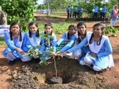 हरित विकास, जल संरक्षण और जनभागीदारी से पर्यावरणीय समृद्धि की ओर बढ़ता छत्तीसगढ़